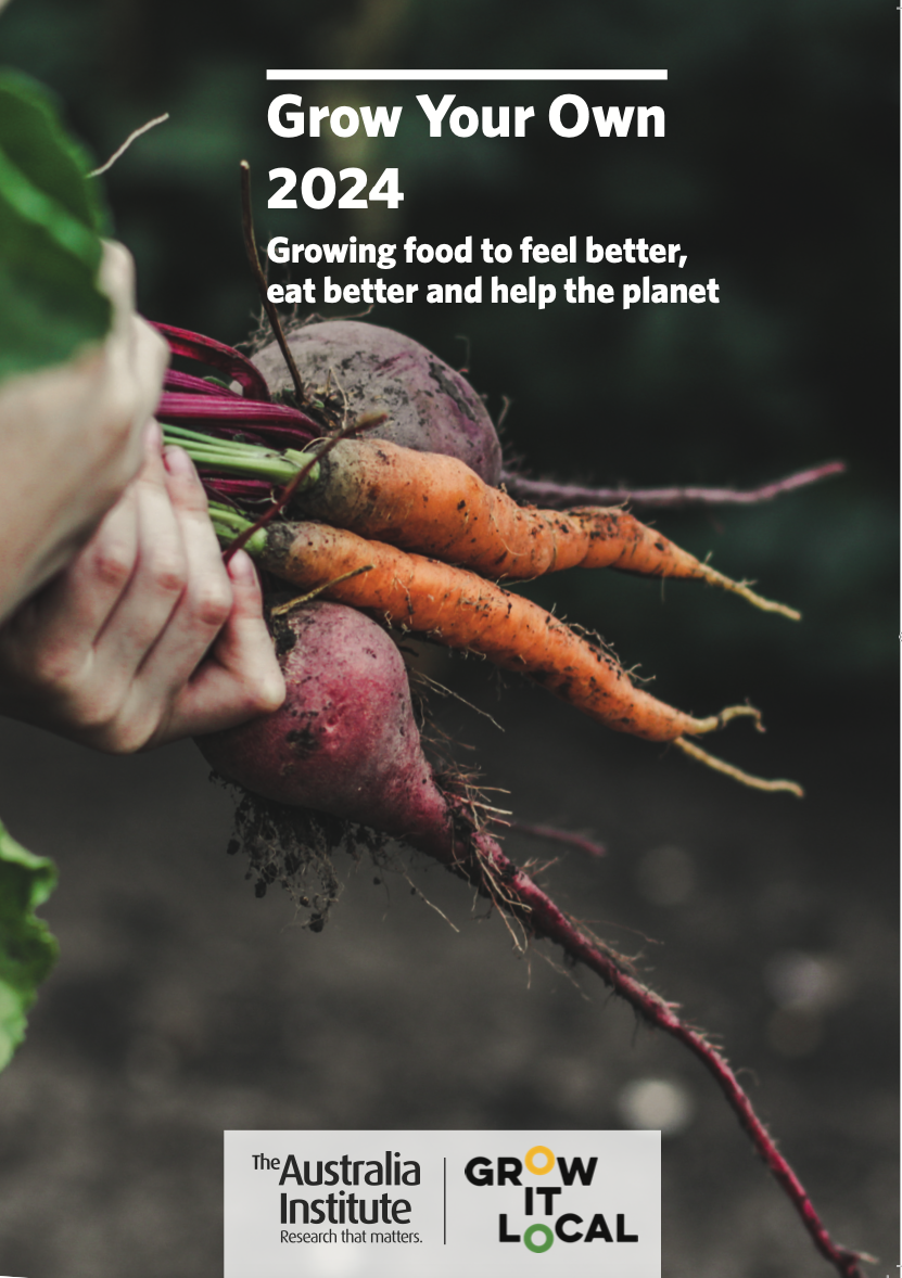 Freshly harvested carrots and beets in hand